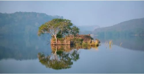 Tree on a small island in Padam Talao at dawn